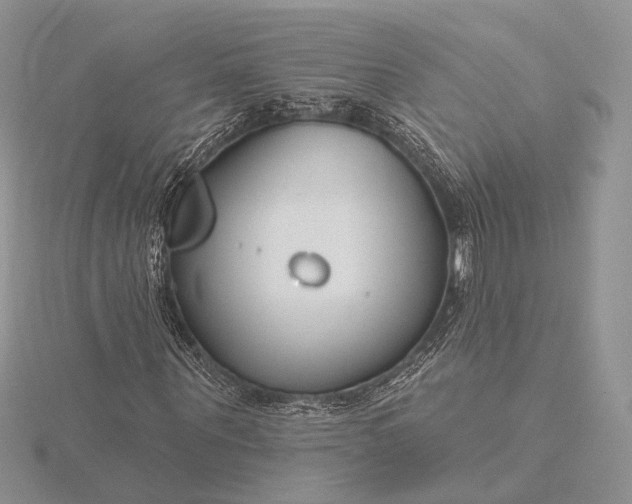 X0000116160867200912071323