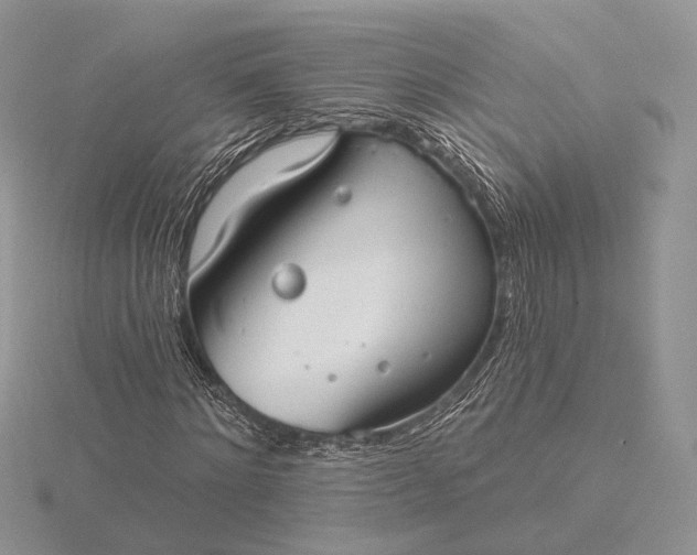 X0000116160868200912071323