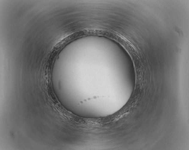 X0000116160870200912071323