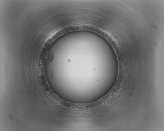 X0000116160871200912071323