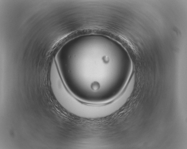 X0000116160872200912071323