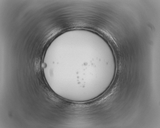 X0000116160873200912071323