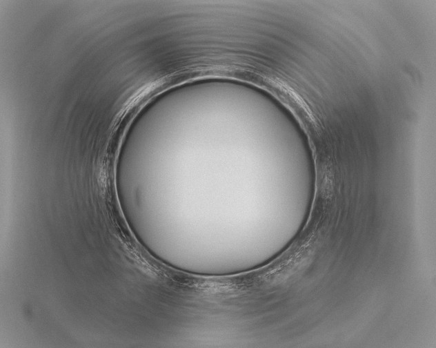 X0000116160874200912071323