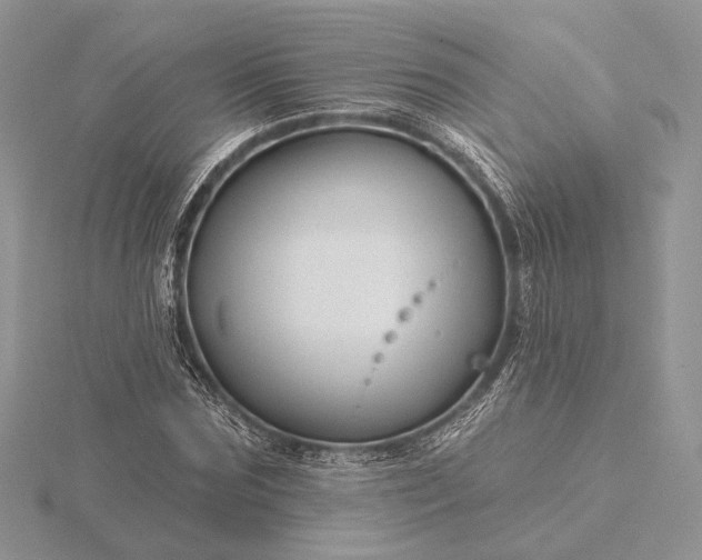 X0000116160875200912071322