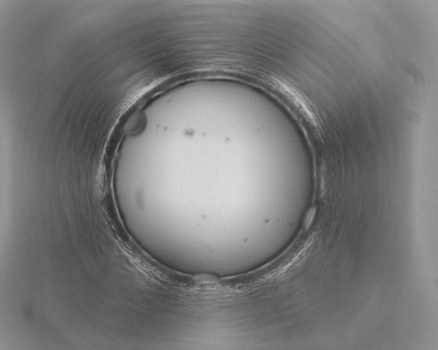 X0000116160876200912071322