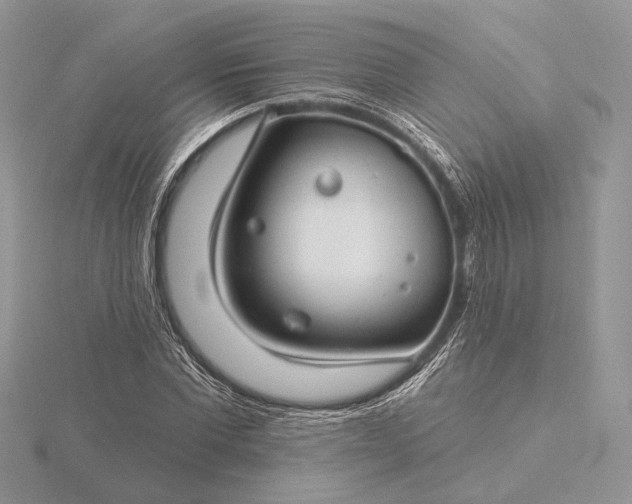 X0000116160877200912071322