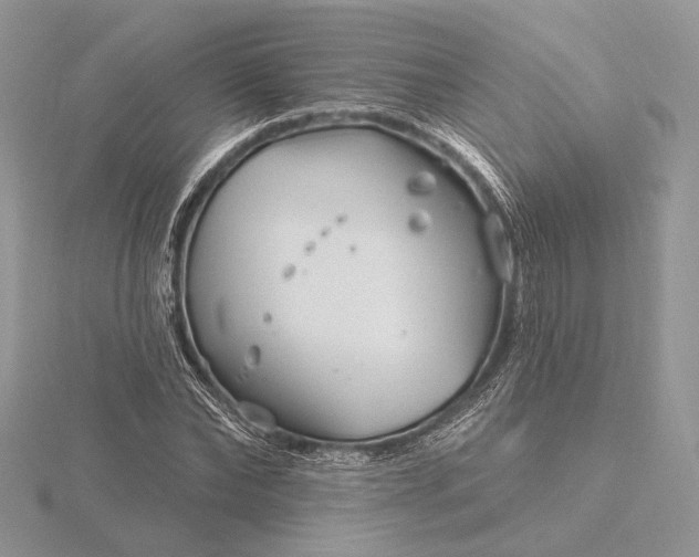 X0000116160878200912071322