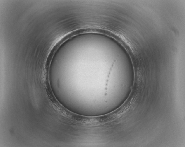 X0000116160879200912071322