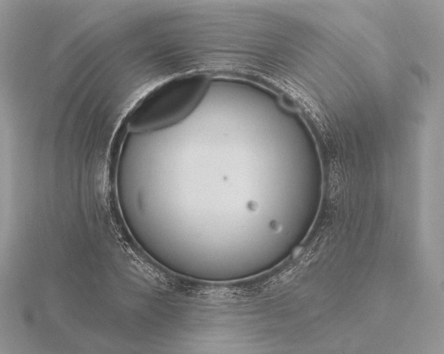 X0000116160880200912071322