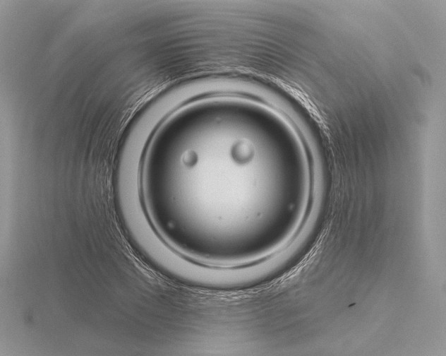 X0000116160881200912071322