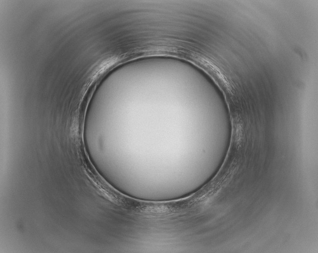 X0000116160882200912071322