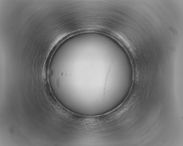 X0000116160883200912071322