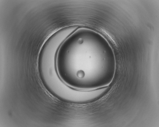 X0000116160884200912071322