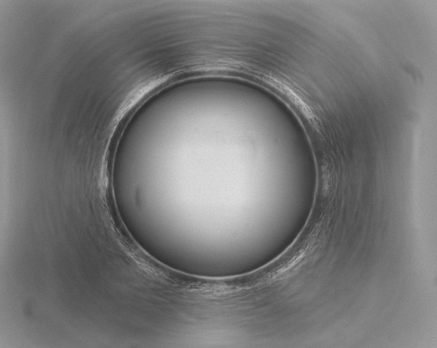 X0000116160885200912071322