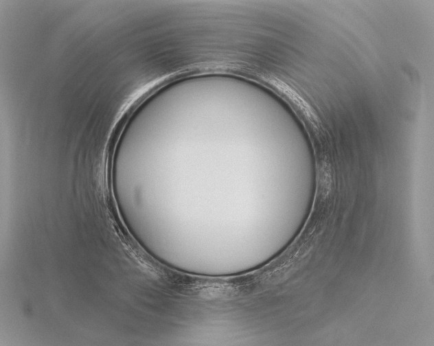 X0000116160886200912071322