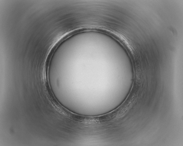 X0000116160887200912071322