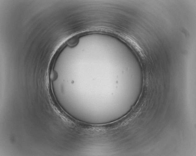 X0000116160888200912071322