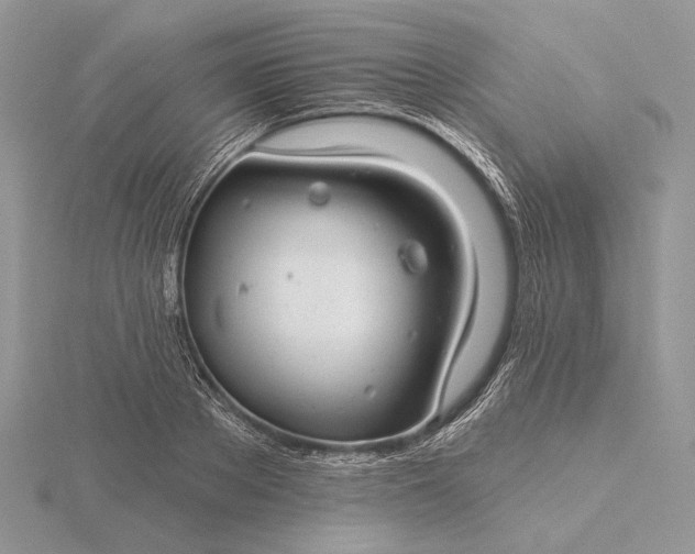 X0000116160889200912071322