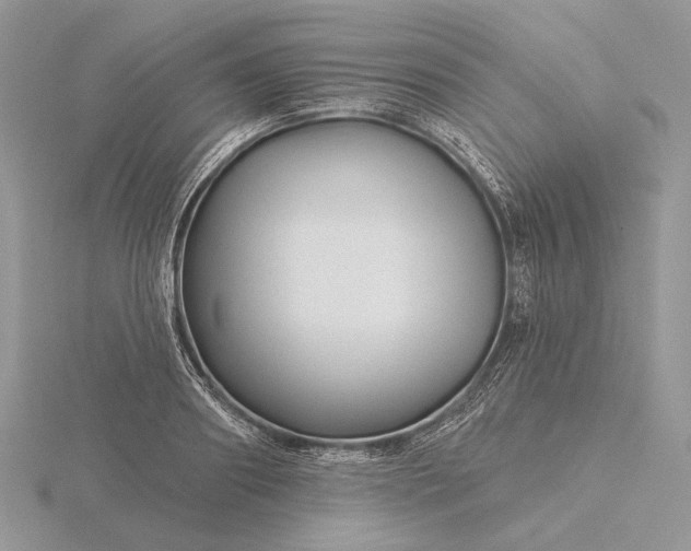 X0000116160890200912071322