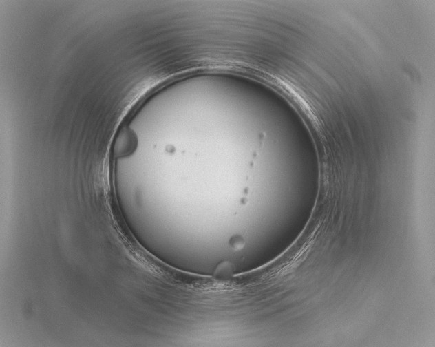 X0000116160891200912071322