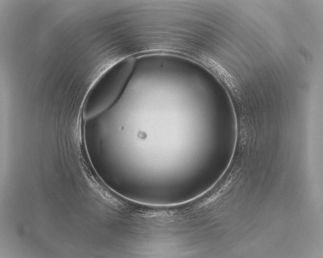 X0000116160892200912071322