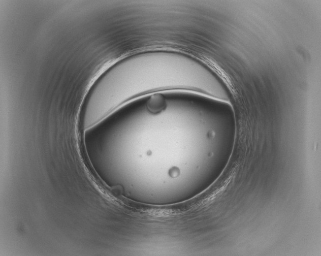 X0000116160893200912071322