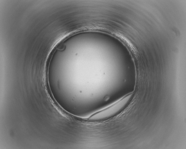 X0000116160894200912071322