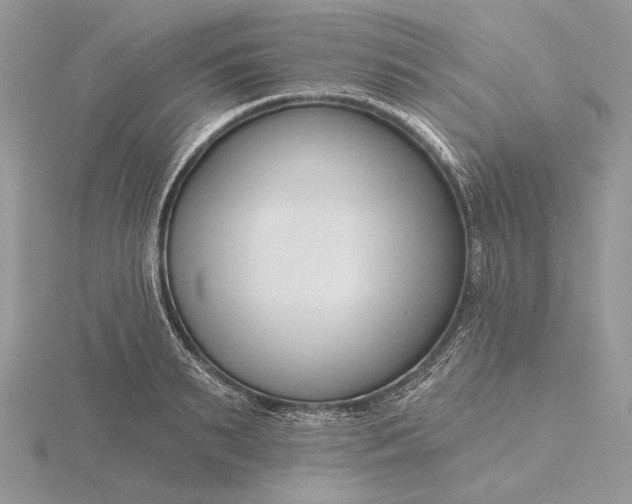 X0000116160895200912071322