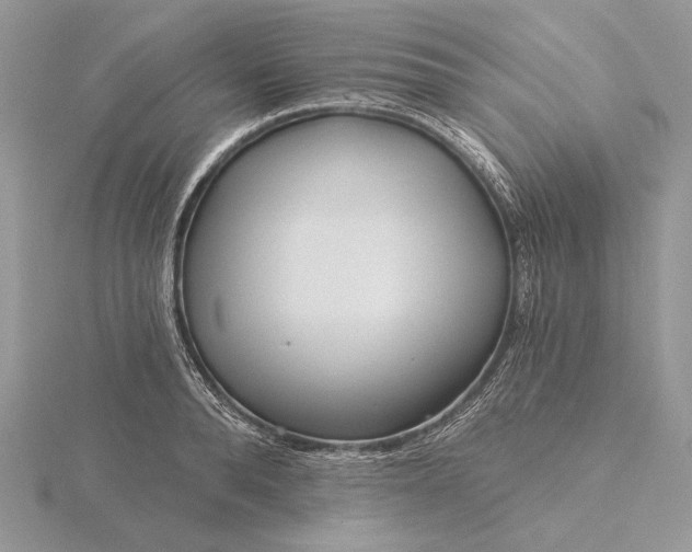 X0000116160896200912071322