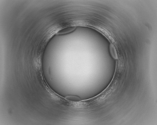 X0000116160897200912071322