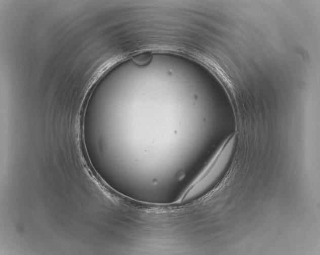 X0000116160898200912071322