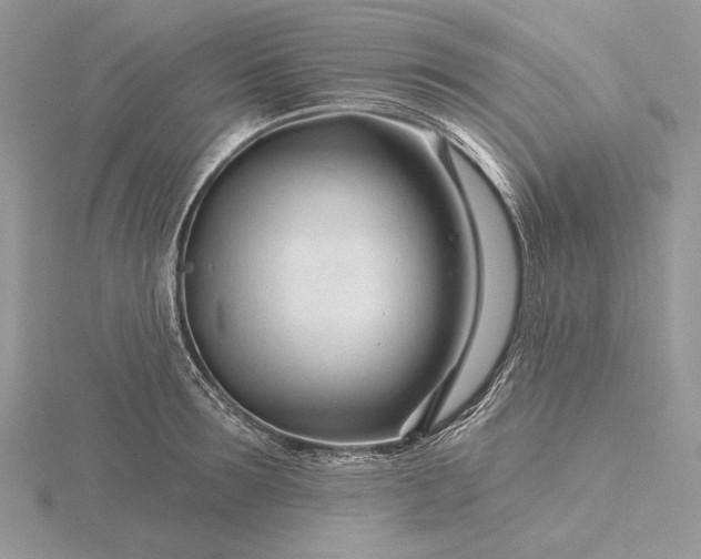 X0000116160899200912071322