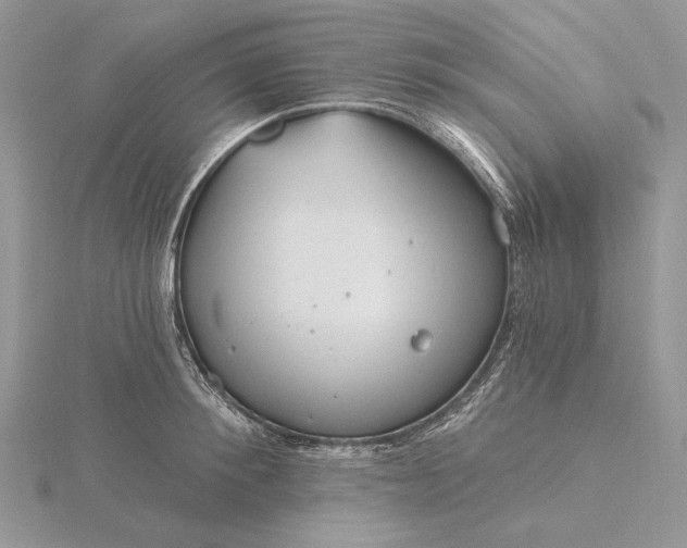 X0000116160900200912071322