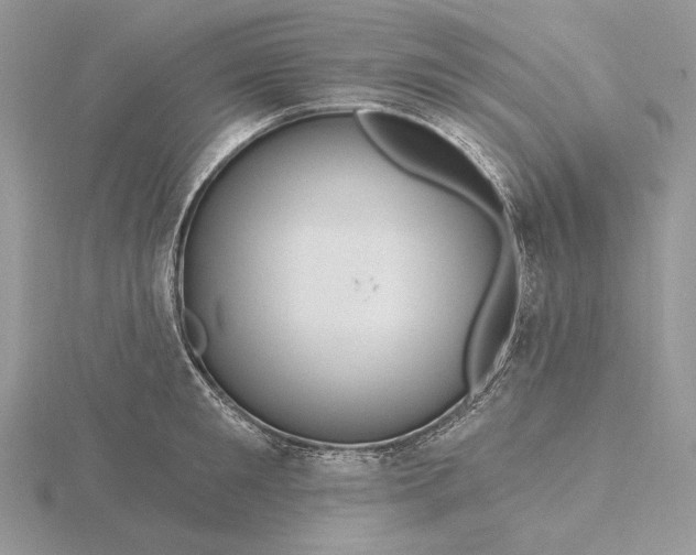 X0000116160901200912071322