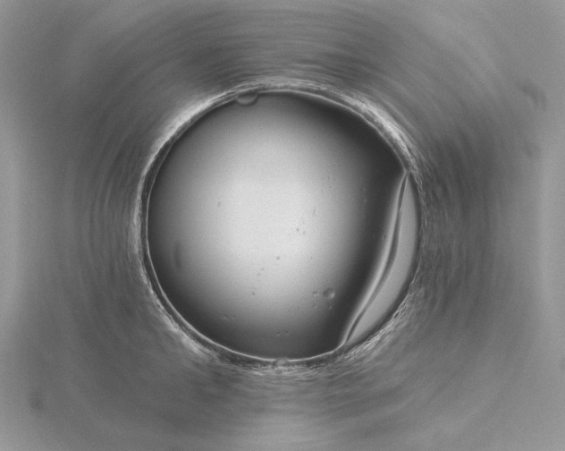 X0000116160902200912071322