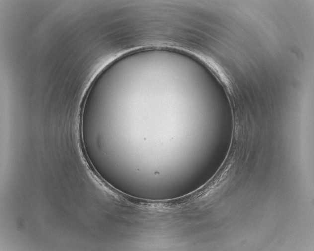 X0000116160903200912071322