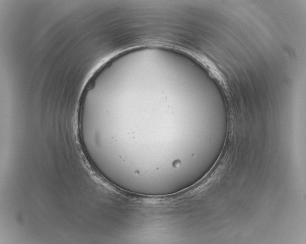 X0000116160904200912071322