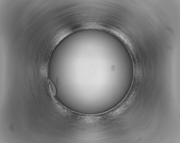 X0000116160905200912071322