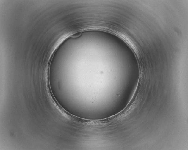 X0000116160906200912071322