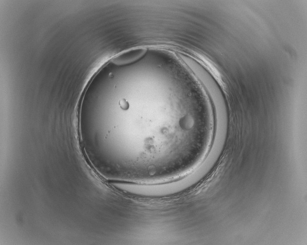 X0000116160907200912071322