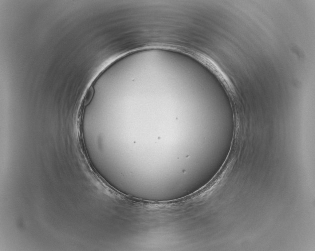 X0000116160908200912071322