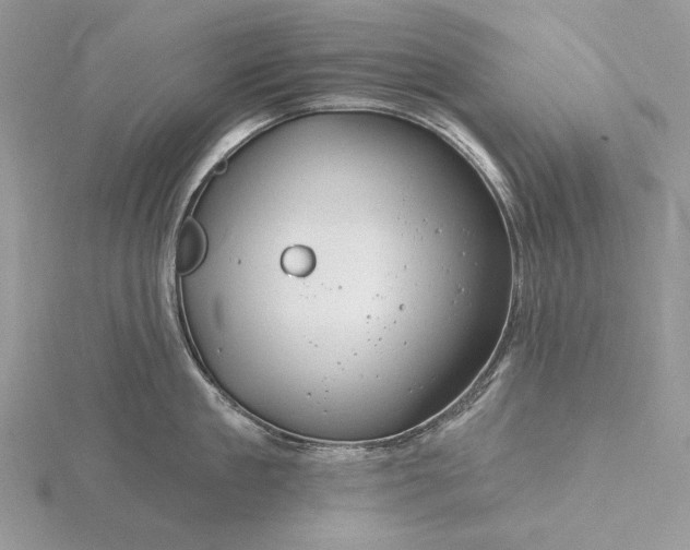 X0000116160909200912071322