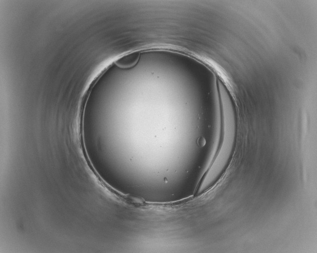 X0000116160910200912071322