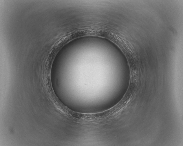 X0000116160913200912071321