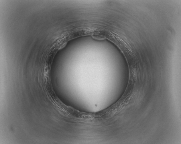 X0000116160914200912071321