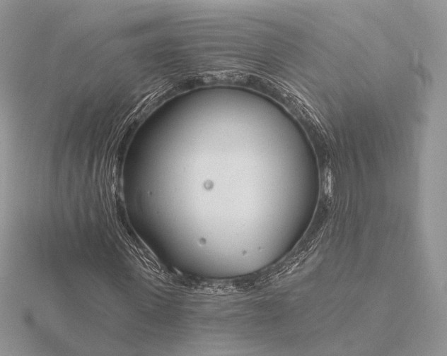 X0000116160915200912071321