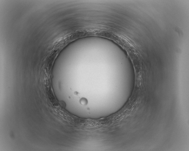 X0000116160917200912071321