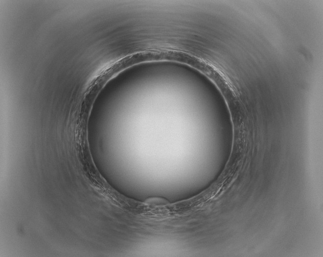 X0000116160919200912071321