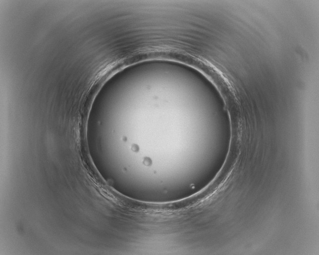 X0000116160921200912071321