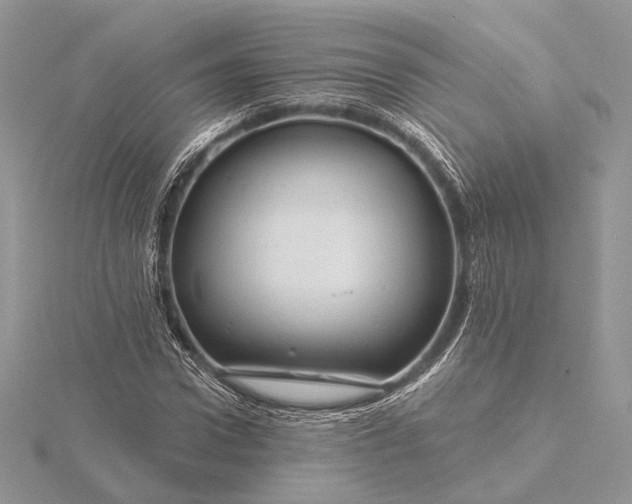 X0000116160922200912071322